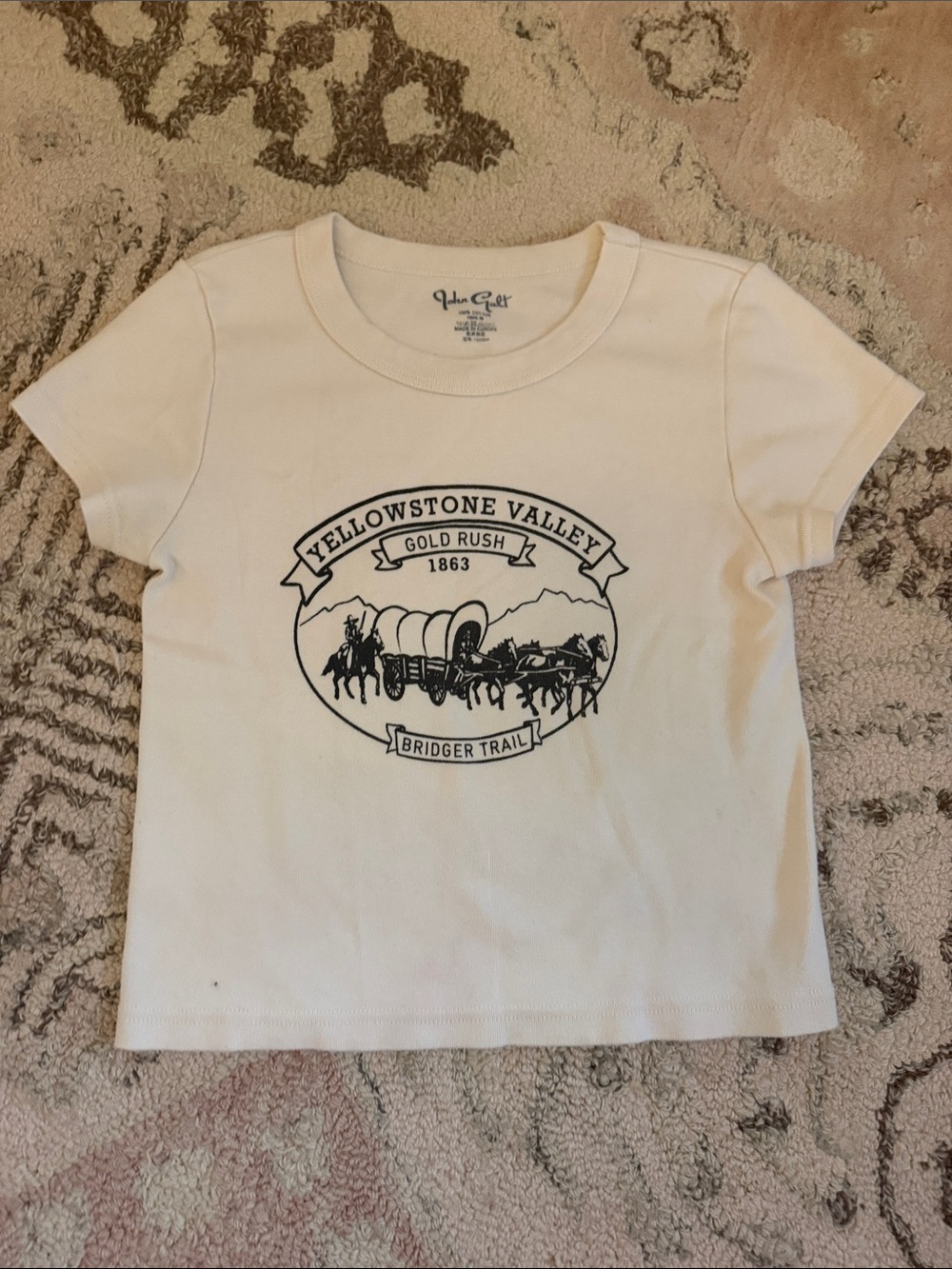 Brandy Melville Cream Yellowstone Valley Graphic Tee